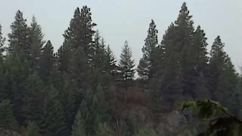 Walter: As morning dawns on ruby ridge