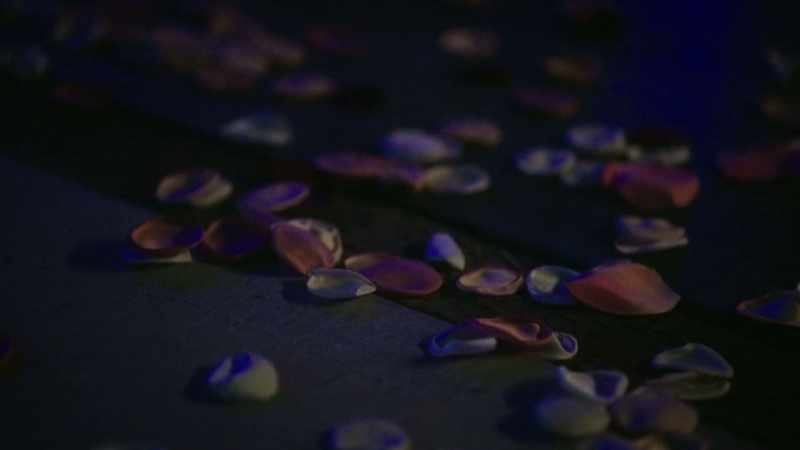 [waltz music]