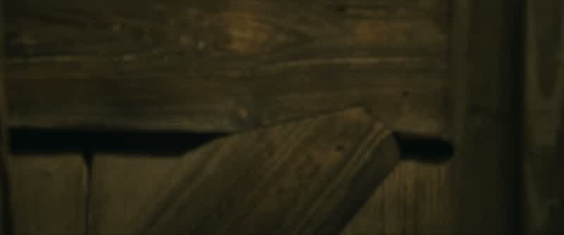 Wanna go and visit Hagrid?- No