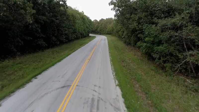 WARREN: The wolf followed Becki to that roadside spot
