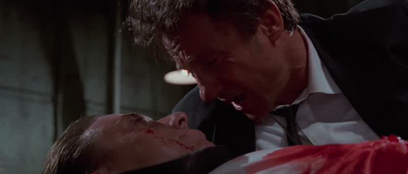 Was that a fucking setup or whatFucking rightShit Orange got taggedGutshotFuck Where's uh brownDeadOh How did he dieHow the fuck do you thinkThe cops shot himThis is bad This is so fucking badIs it