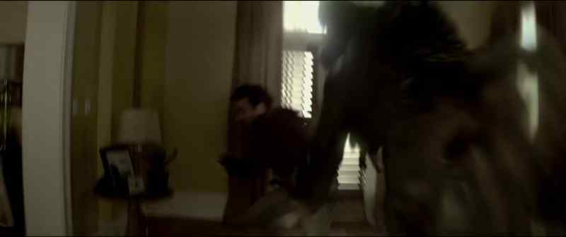 Was that a wolf? Are wolves out there? -Wolfs, No, that is not a wolf