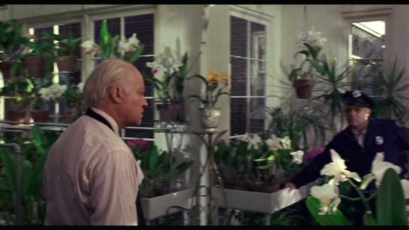 Was Mr. Colbert ever in this greenhouse