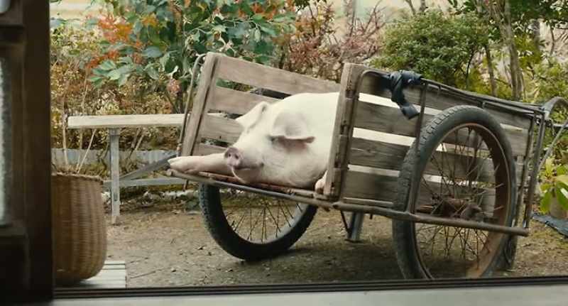 Was that pig's name Hanako?