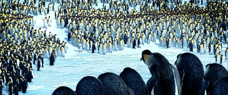 Watch out for leopard seals and them killer whales