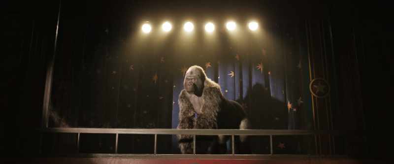 Watch this. - [roars]