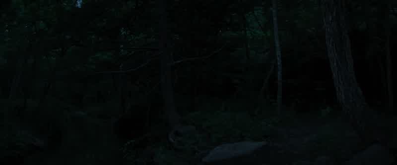 Watch your step right there
