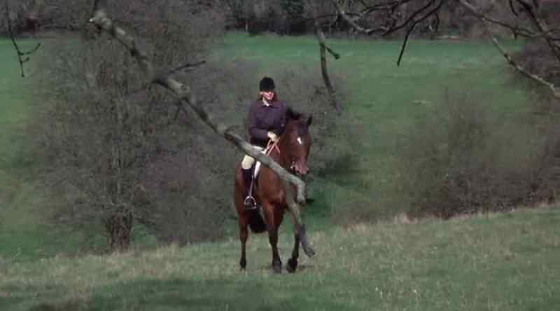 Watching Sarah and the foal grow together