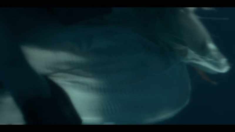 [WATER BUBBLES, HORSE WHINNIES URGENTLY]
