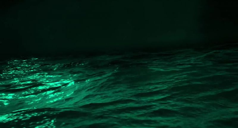 [water bubbles]