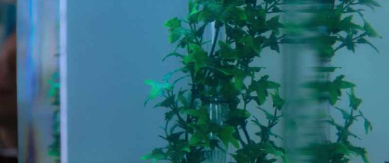 [water bubbling] -[motor droning]