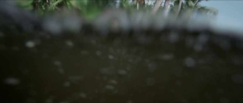 [WATER BURBLING - TENSE MUSIC]