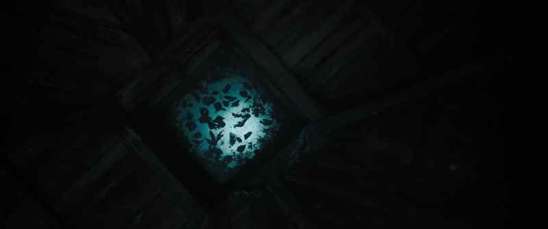 (WATER DROPS PATTERING)