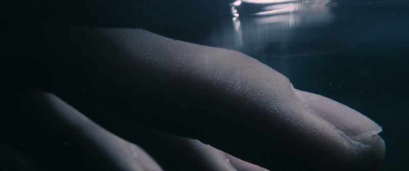 [water lapping]