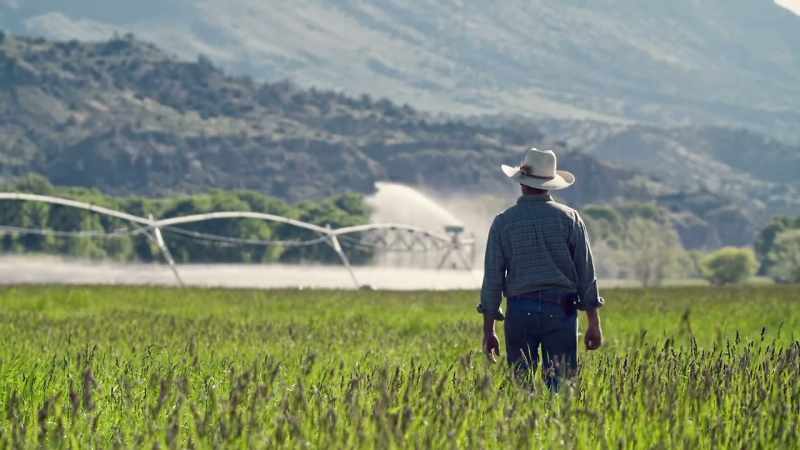 Water pulled from the river irrigates fields