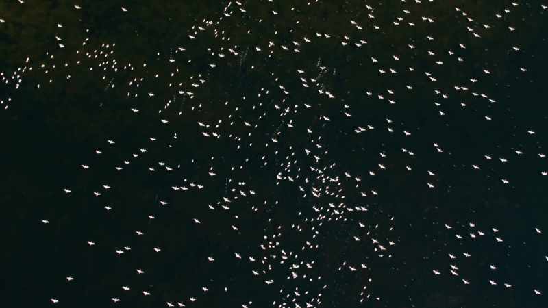 Water has shaped Europe's landscape in another way