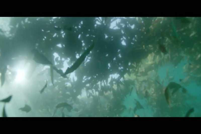 [water sloshing]