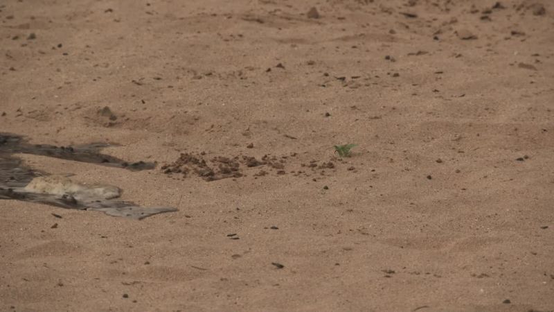Water is slowly...inexorably creeping back into Samburu