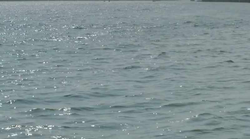 Water is something that we are all connected by