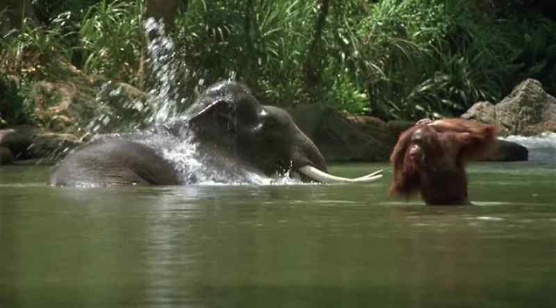 [water splashing]