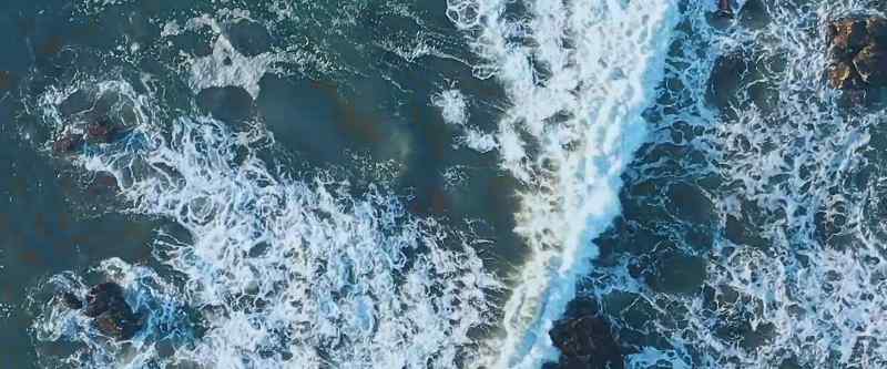 (water splashing) (seagulls squawking)