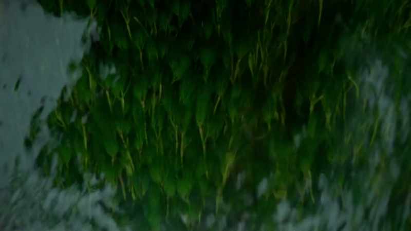 [water trickling]