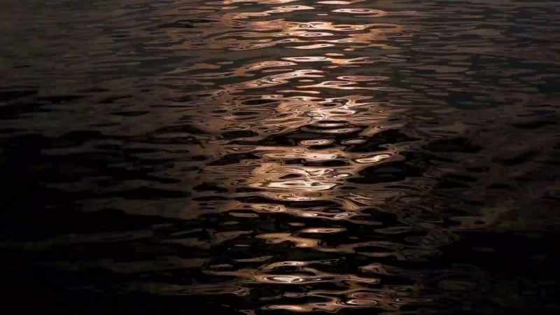 (water whooshing) (gentle music)