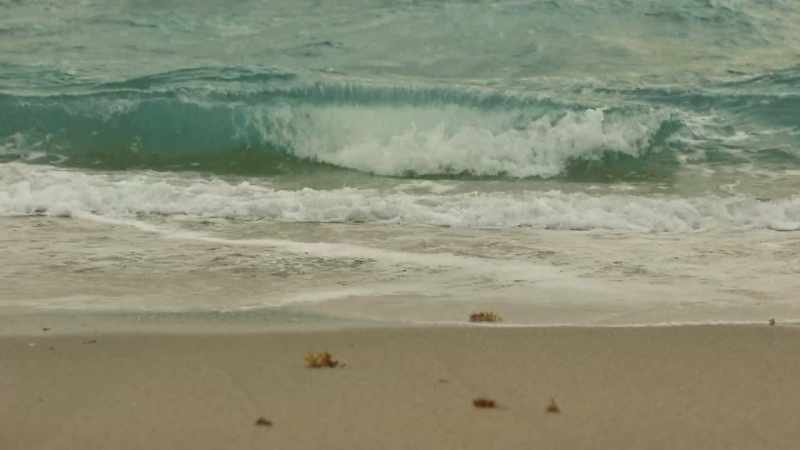 (waves breaking)