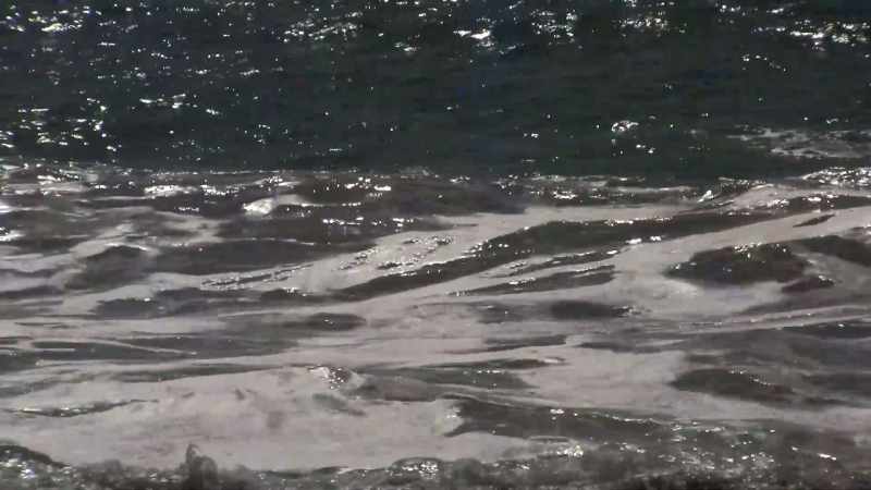 [waves crash] [melancholy music]
