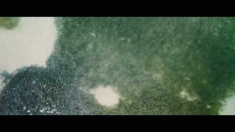 (waves lapping) (soft orchestral music)