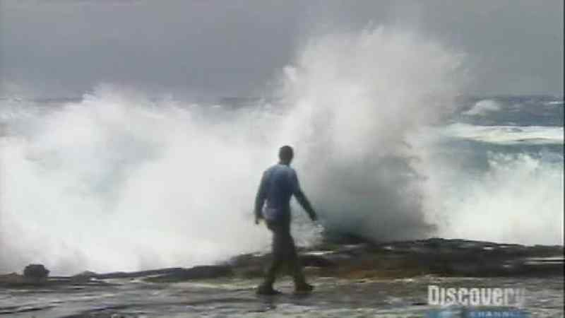 Waves usually has a regular pattern