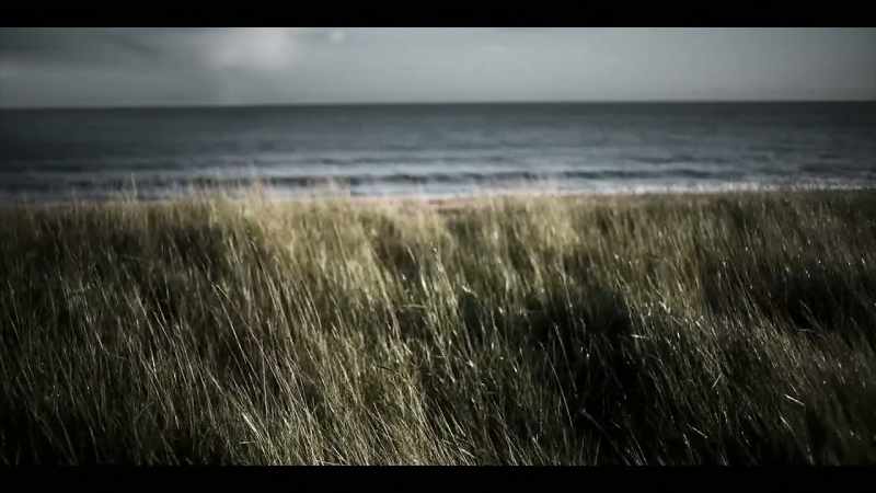 (waves washing ashore)