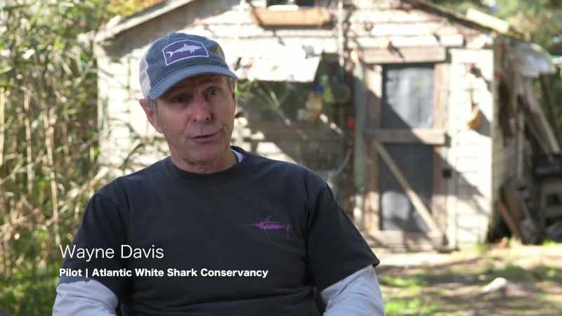 WAYNE DAVIS PILOOT