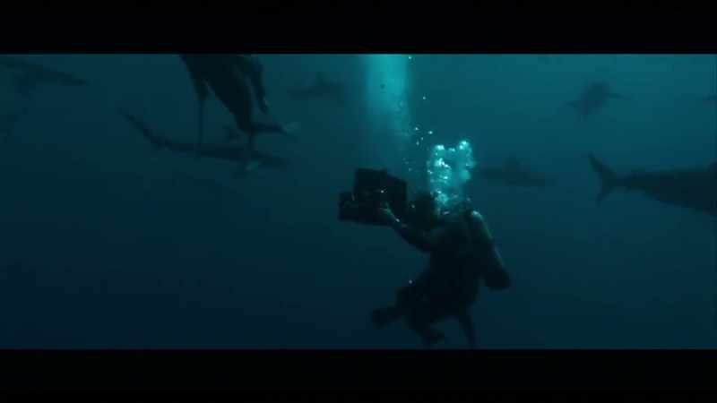 We were accepted as other marine animals come to feed on the whale