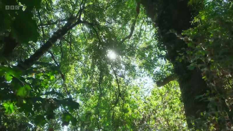 We all come from nature
