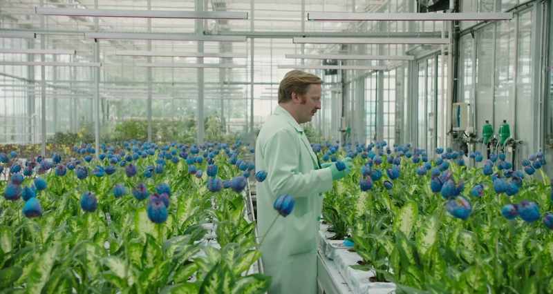 We all know how hard it is to succeed with a new strain