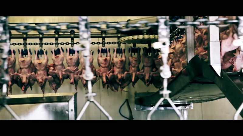 We already had people dying from salmonella
