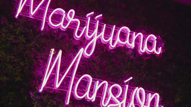 We also have a rave room, we've got a weed room