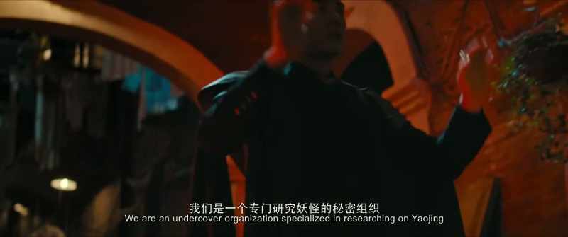 We are a secret organization that specifically investigate Yaojing