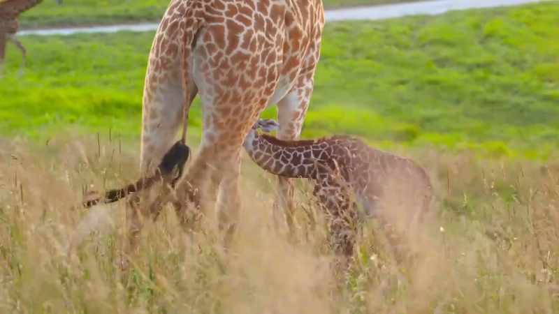 We are certain the baby's latched on