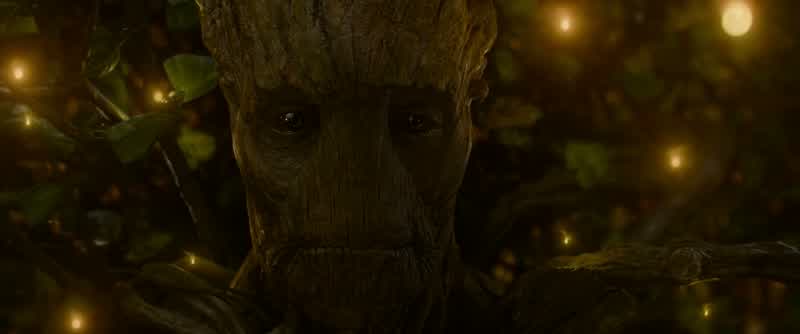 We are Groot