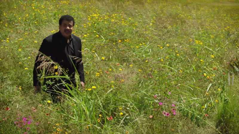 We are indebted to the bees and their fellow pollinators