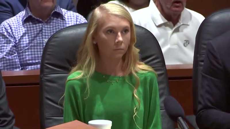 We are now going to hear the opening statements