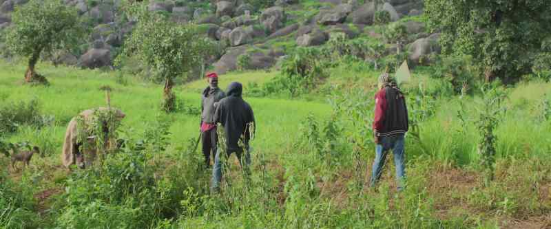 We are thieves, not savages