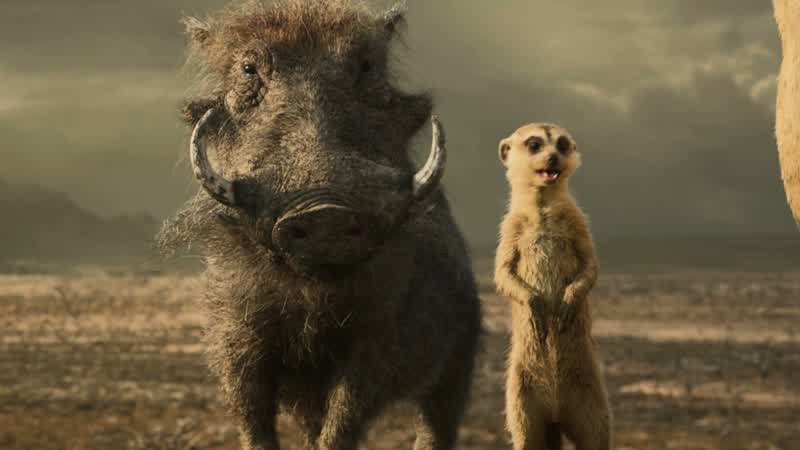 Hey hey look A birdTimon Pumbaa this is ZazuOh wow It's a puffinCharmingSimba we are with you until the endWe are at your service my liegeFollow me