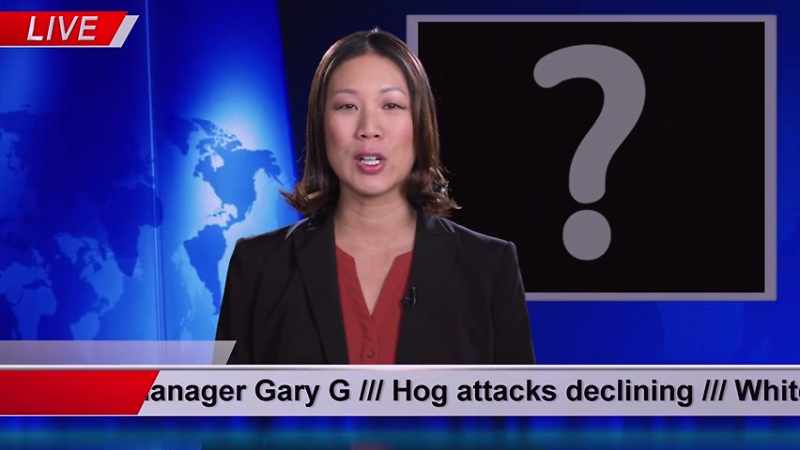 We ask our farcical scenarios expert