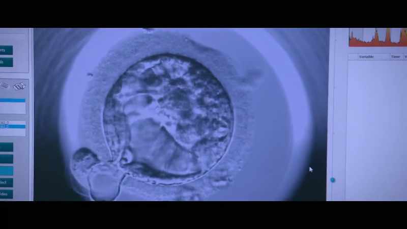 We bring the DNA material