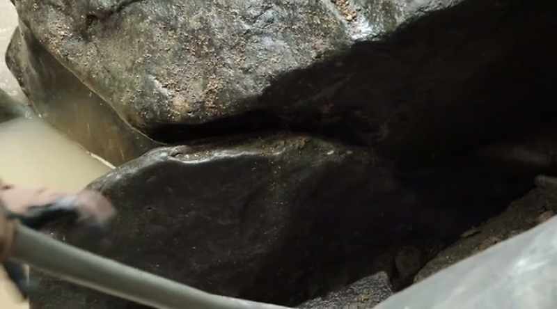 � We broke her loose! ‐ Yeah