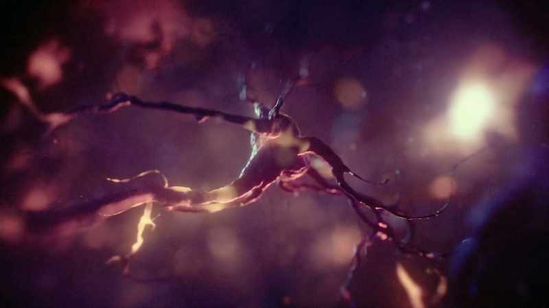 We call them neurons