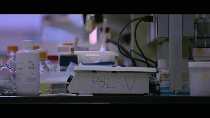 We can fix mutations, can repair broken genes